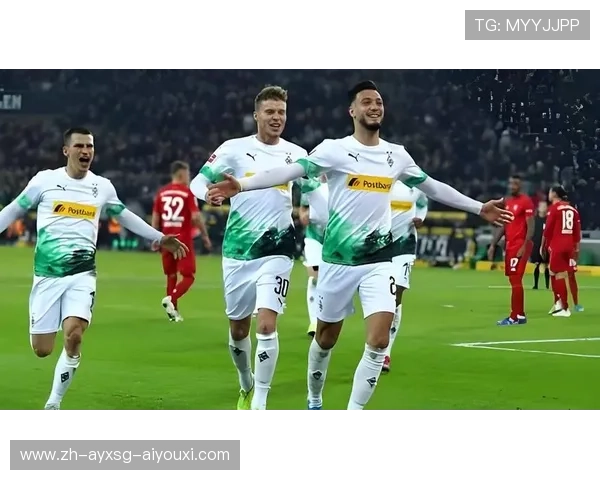 德甲球队中的明星球员及代表性位置分析